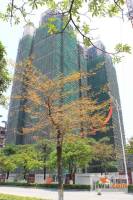 新世纪宜居实景图15