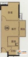 中海橡园国际1室1厅1卫45.1㎡户型图