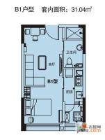 绿地新都会1室1厅1卫31㎡户型图