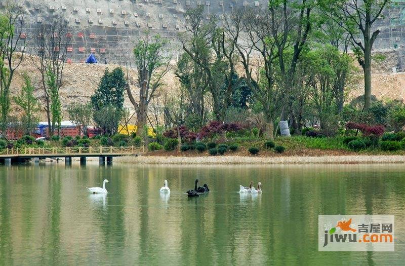 花果园实景图图片