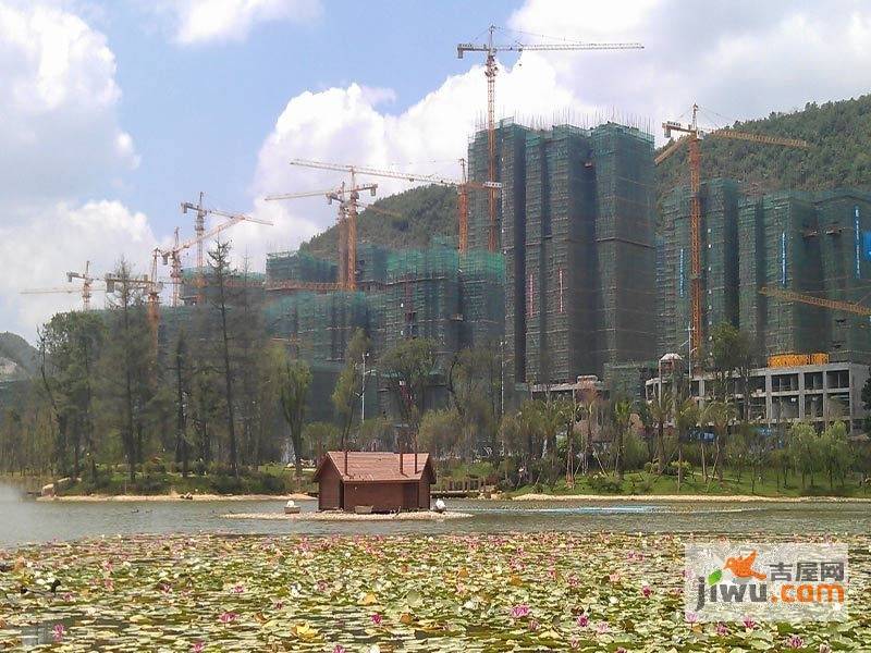 花果园实景图图片