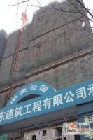 中央公园实景图1