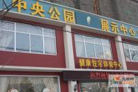 中央公园实景图1