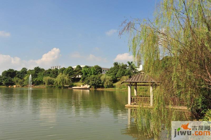 八桂绿城实景图图片