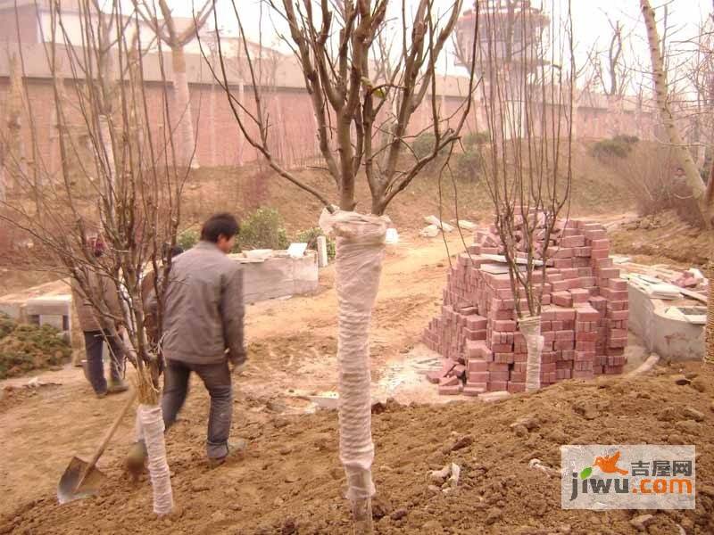 西岸美地实景图图片